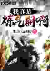 我真是练气期啊！