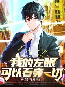 左眼轮回