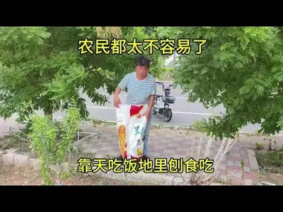 九零后新农民