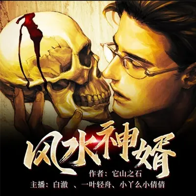 风水神婿