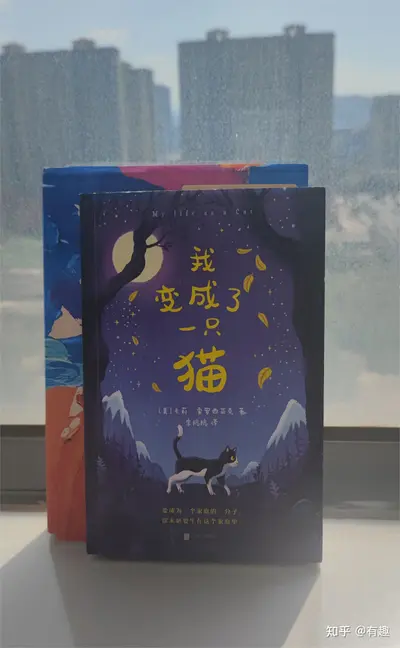 在我变成猫后