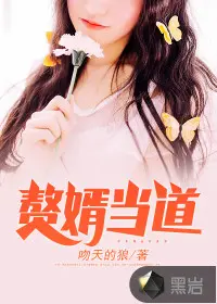 恶婿当道