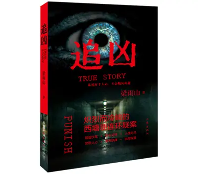 追凶实记