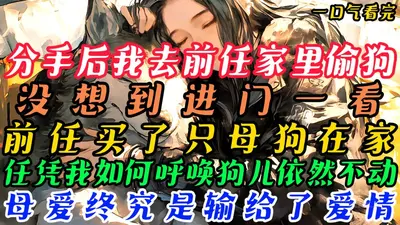 秦律师和简兽医